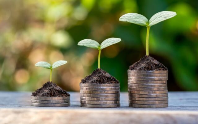 Three coin stacks with plantation growth on top.
